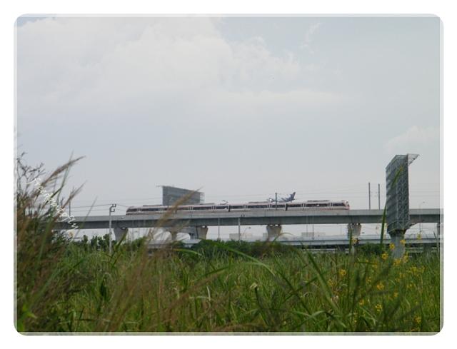 DSCF6451.JPG